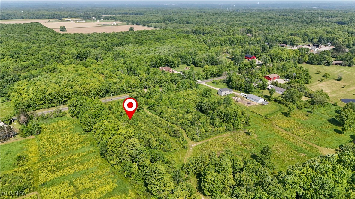 Brakeman Road, Painesville, Ohio image 22