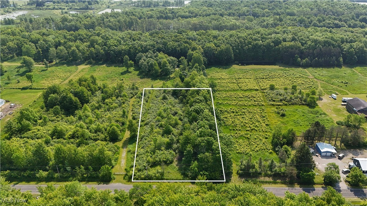 Brakeman Road, Painesville, Ohio image 6