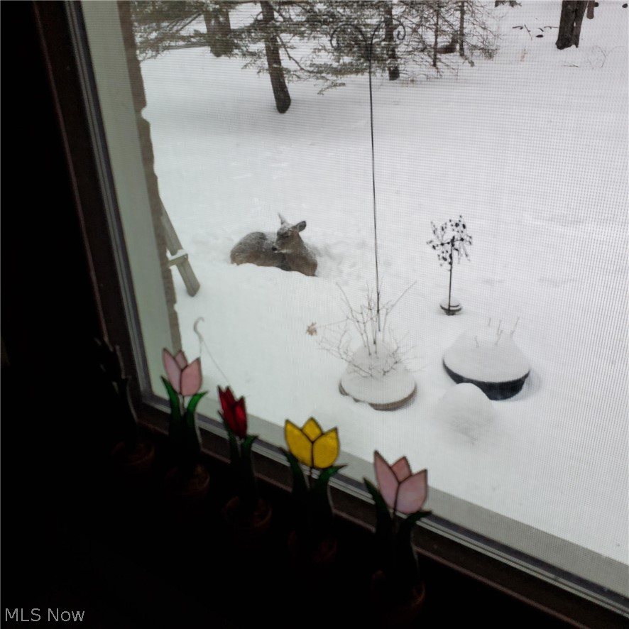 Brunswick Park - Residential