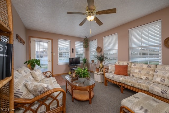 Village Commons - Residential