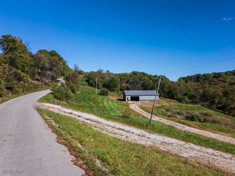Vacant Land For Sale - 7207 Lost Pavement Road<br/> Washington, WV 26181