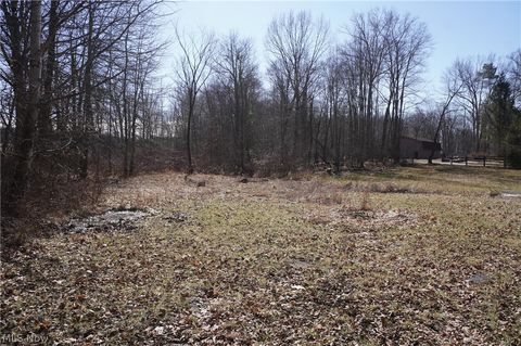 Tiny photo for 4149 Arrel Road, Youngstown, OH 44514 (MLS # 5190886)