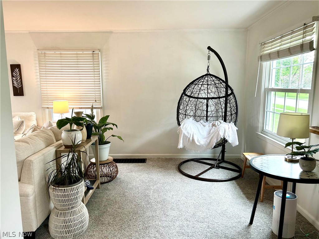 Re-Allotment/Woodland - Residential