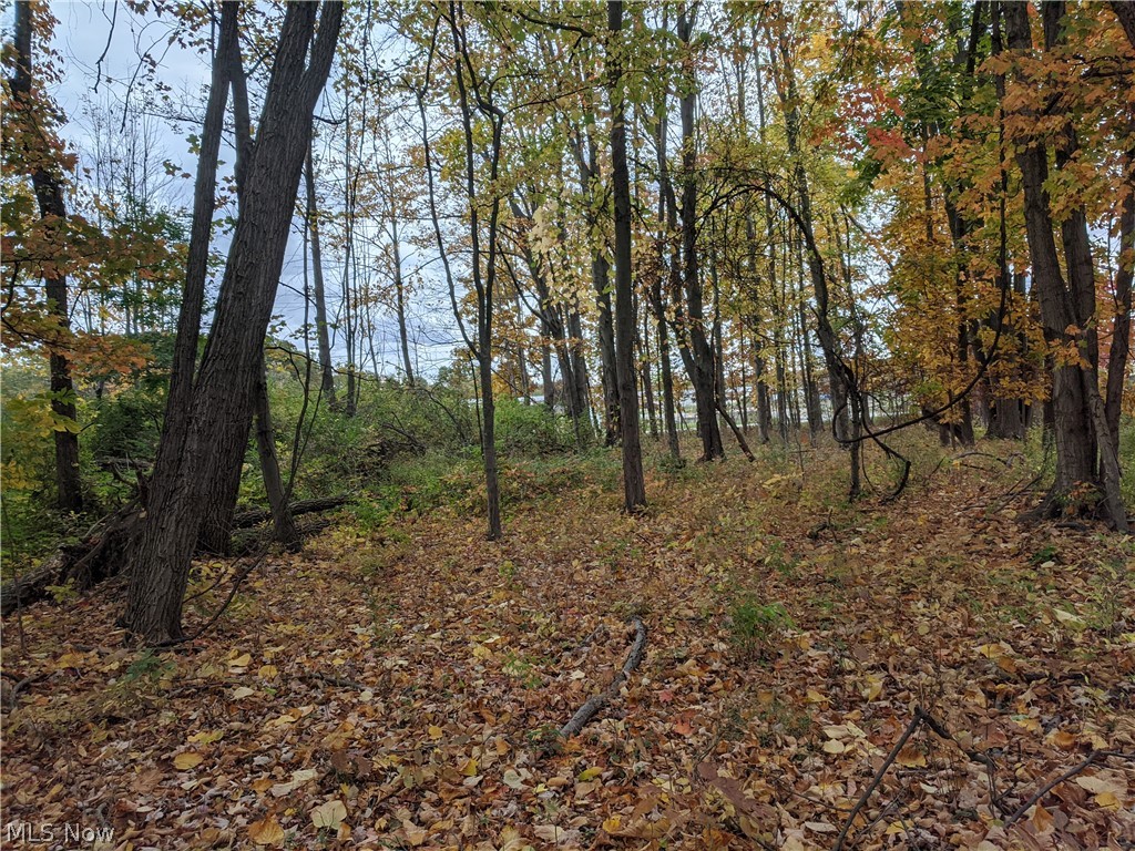 Connecticut Western Reserve - Commercial Sale