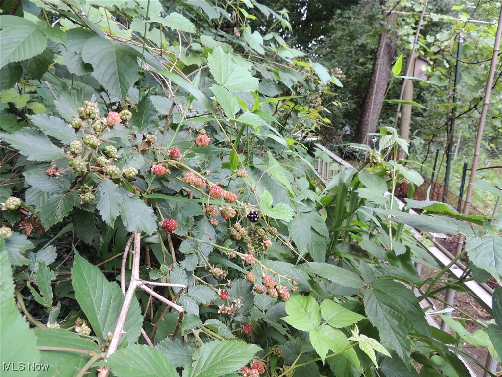 Crescent Woods - Residential