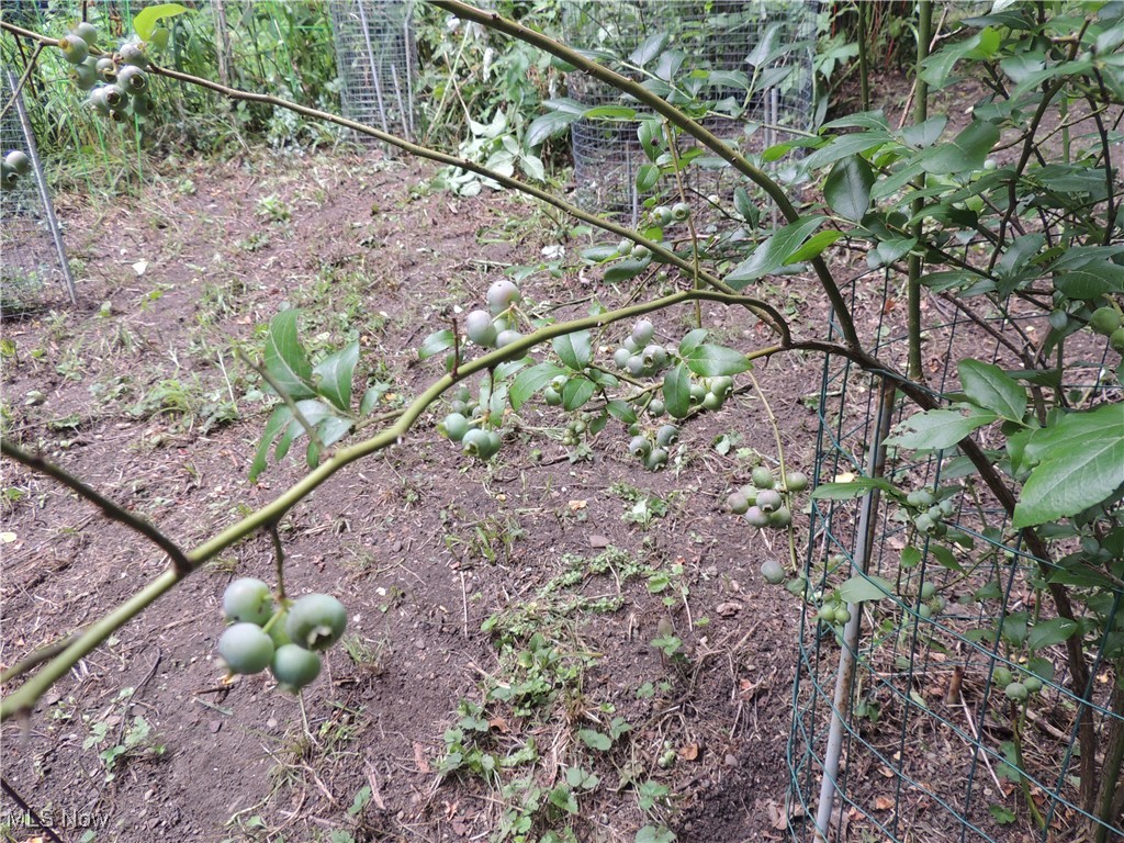 Crescent Woods - Residential