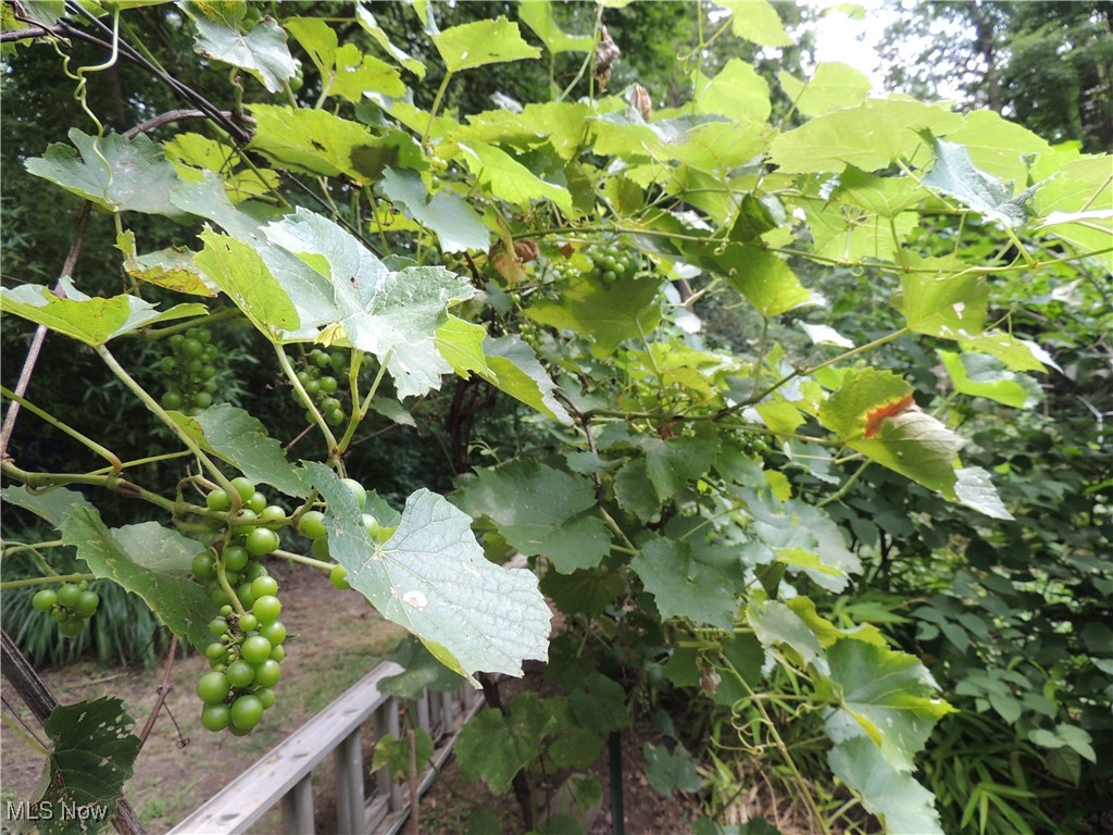 Crescent Woods - Residential