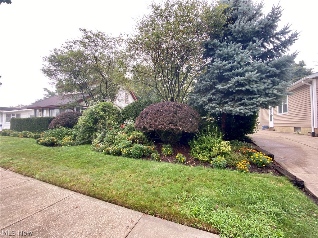 Springfield Heights - Residential