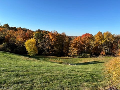 Tiny photo for 150 Fire Fly Lane, Moundsville, WV 26041 (MLS # 5221526)