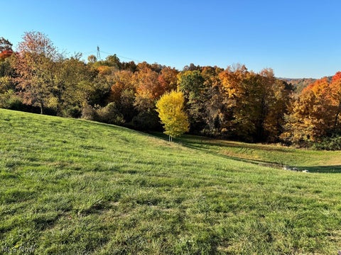 Tiny photo for 150 Fire Fly Lane, Moundsville, WV 26041 (MLS # 5221526)