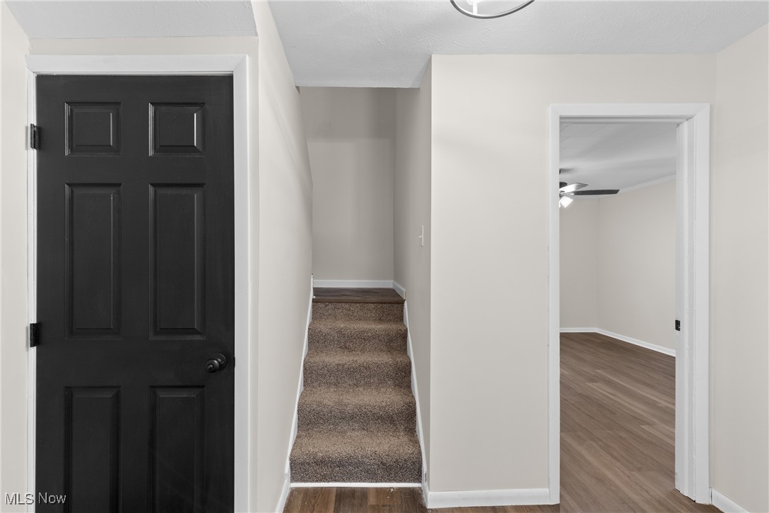 585 W 45th Street, Shadyside, Ohio image 21