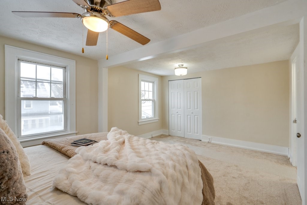 Woodlawn Allotment - Residential