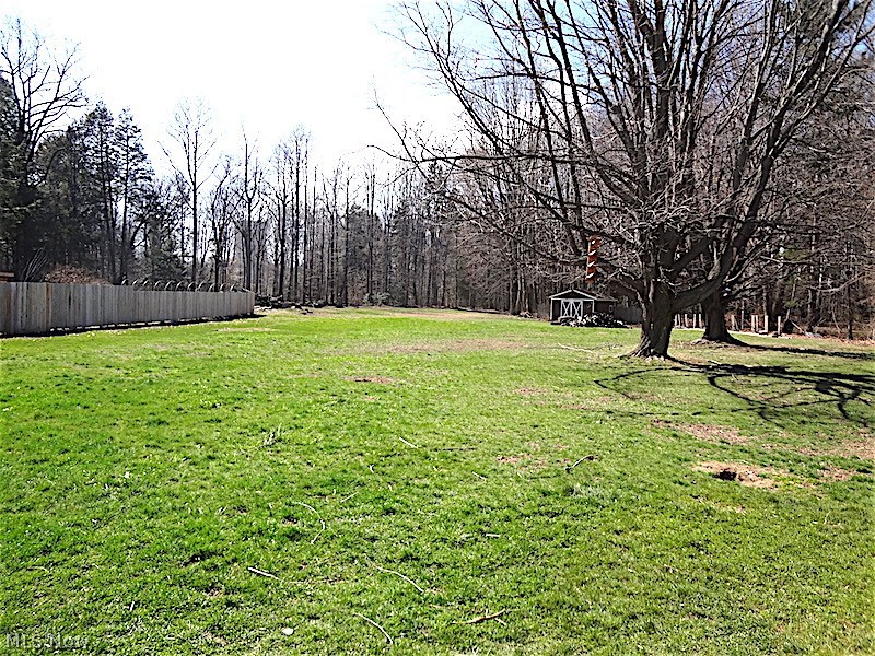 Village/N Perry - Residential