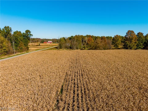 Tiny photo for SW Northvale Avenue, Beach City, OH 44608 (MLS # 5255758)
