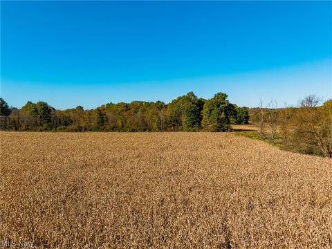 Tiny photo for SW Northvale Avenue, Beach City, OH 44608 (MLS # 5255758)