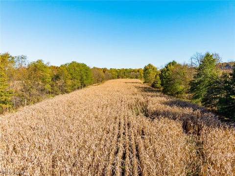 Tiny photo for SW Northvale Avenue, Beach City, OH 44608 (MLS # 5255758)