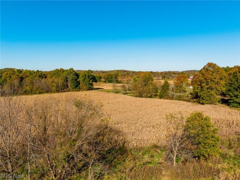 Tiny photo for SW Northvale Avenue, Beach City, OH 44608 (MLS # 5255758)