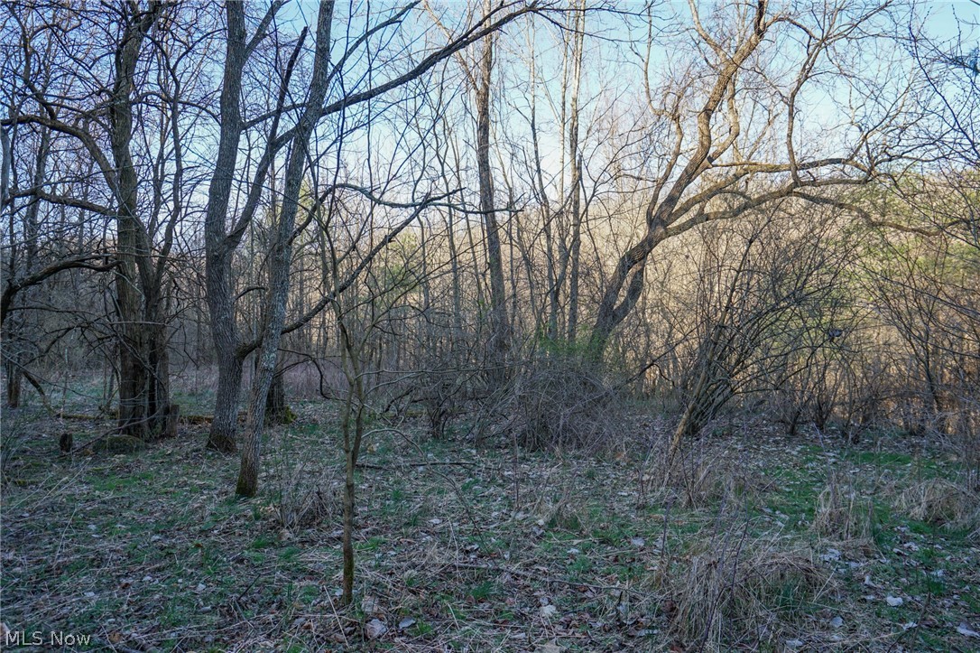 Groves Hill Rd, Caldwell, Ohio image 18