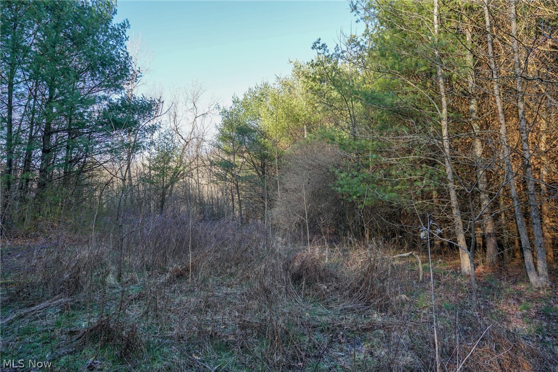 Groves Hill Rd, Caldwell, Ohio image 16