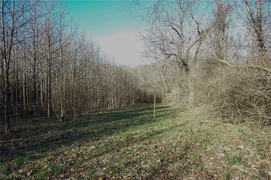 Groves Hill Rd, Caldwell, Ohio image 10