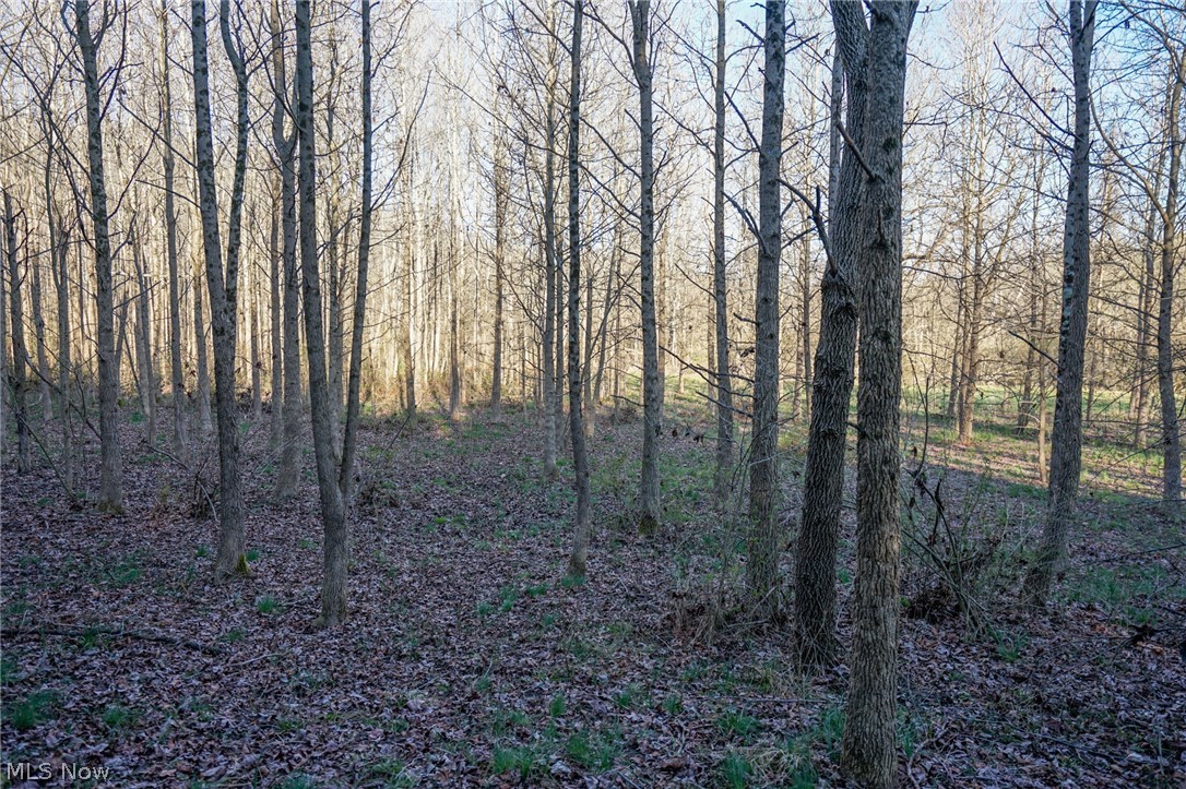 Groves Hill Rd, Caldwell, Ohio image 14