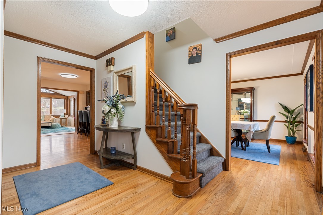 6975 Militia Hill Street, Canton, Ohio image 2