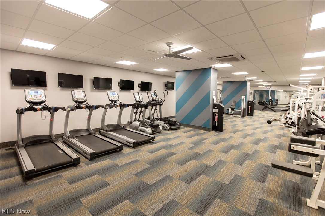 Carlyle Condo - Residential Lease