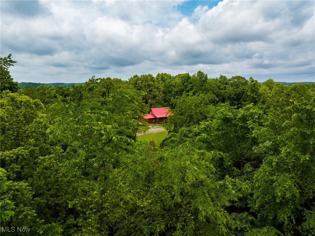 46380 County Road 55 Road, Coshocton, Ohio image 4