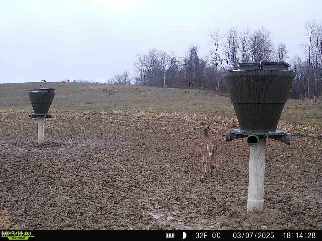 46380 County Road 55 Road, Coshocton, Ohio image 35