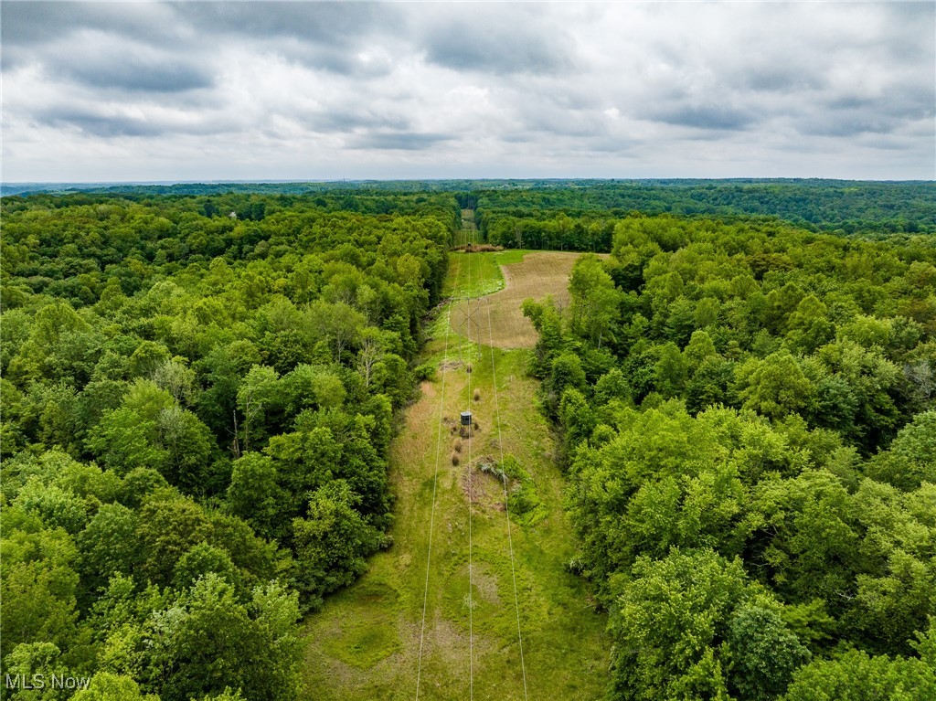 46380 County Road 55 Road, Coshocton, Ohio image 25