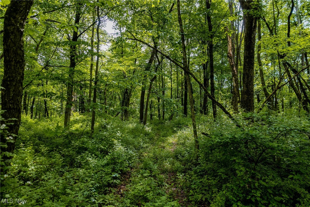 46380 County Road 55 Road, Coshocton, Ohio image 30