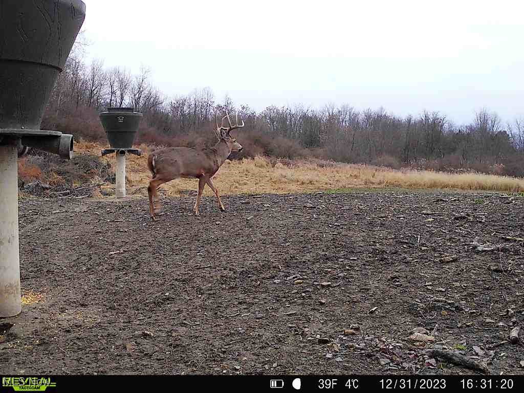 46380 County Road 55 Road, Coshocton, Ohio image 33