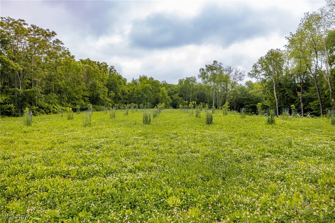 46380 County Road 55 Road, Coshocton, Ohio image 17
