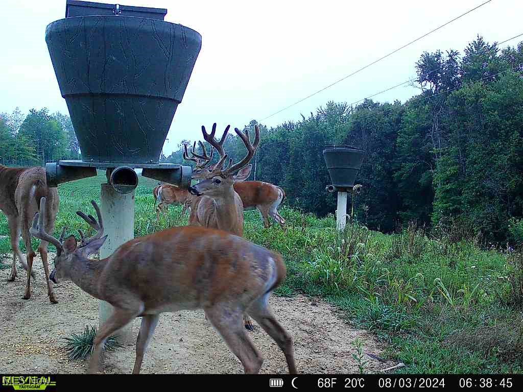 46380 County Road 55 Road, Coshocton, Ohio image 38