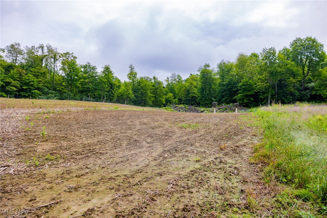 46380 County Road 55 Road, Coshocton, Ohio image 16