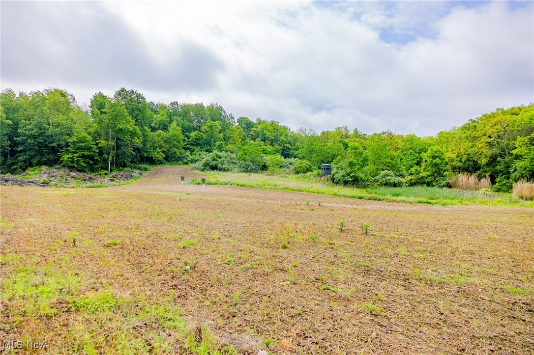 46380 County Road 55 Road, Coshocton, Ohio image 10