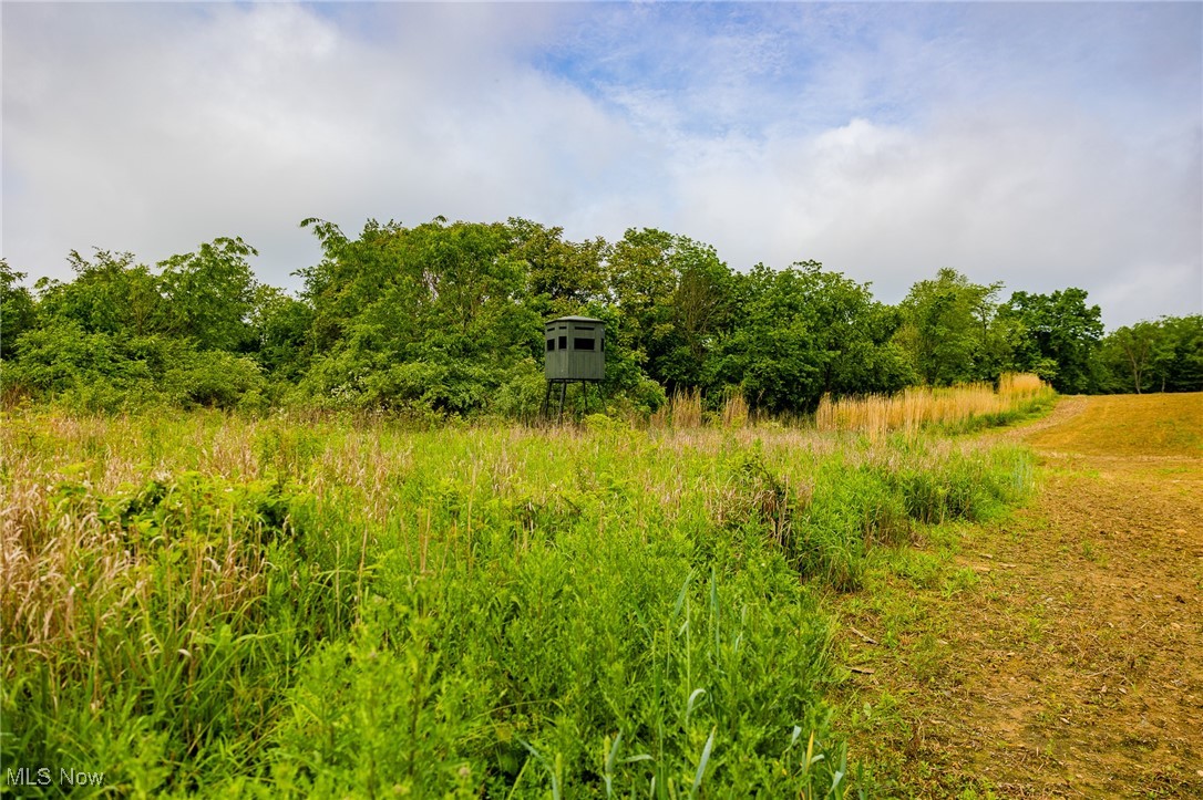 46380 County Road 55 Road, Coshocton, Ohio image 27