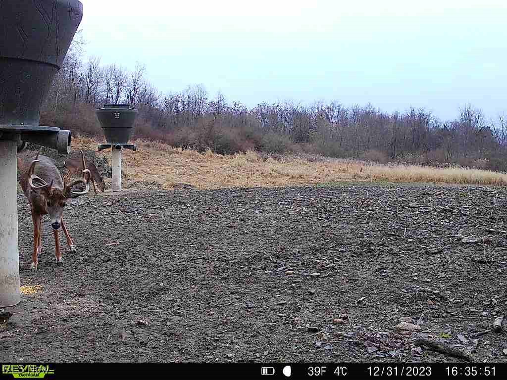 46380 County Road 55 Road, Coshocton, Ohio image 32