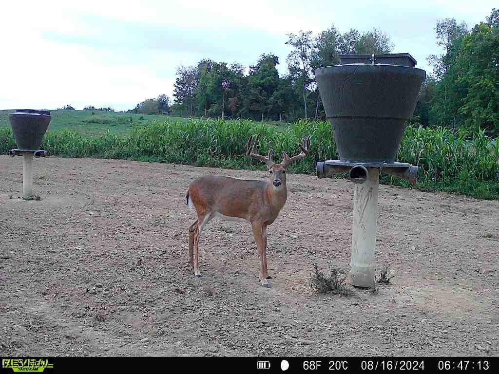 46380 County Road 55 Road, Coshocton, Ohio image 36