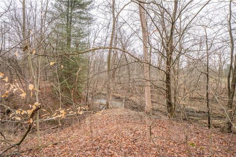 Tiny photo for 23095 Foster Road, Wellington, OH 44090 (MLS # 5190289)
