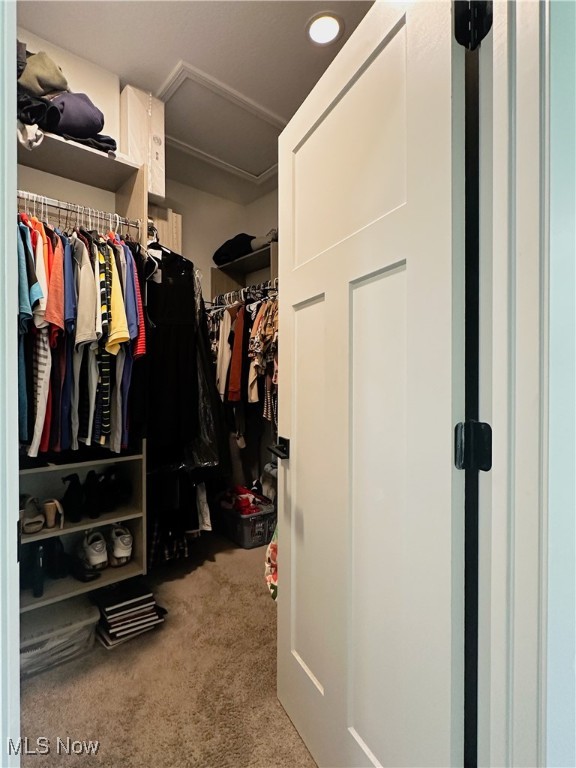 Forest Hills Estate - Residential