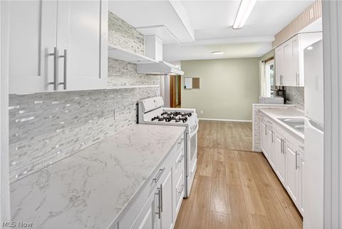 Tiny photo for 39568 Carol Lane, Elyria, OH 44035 (MLS # 5202639)