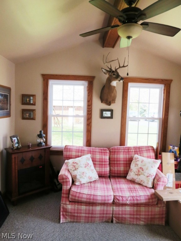 Bazetta Township Sec 20 - Residential