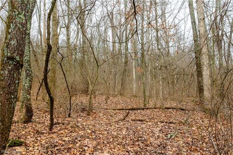 Vacant Land For Sale - 10445 Shannon Road<br/> Frazeysburg, OH 43822