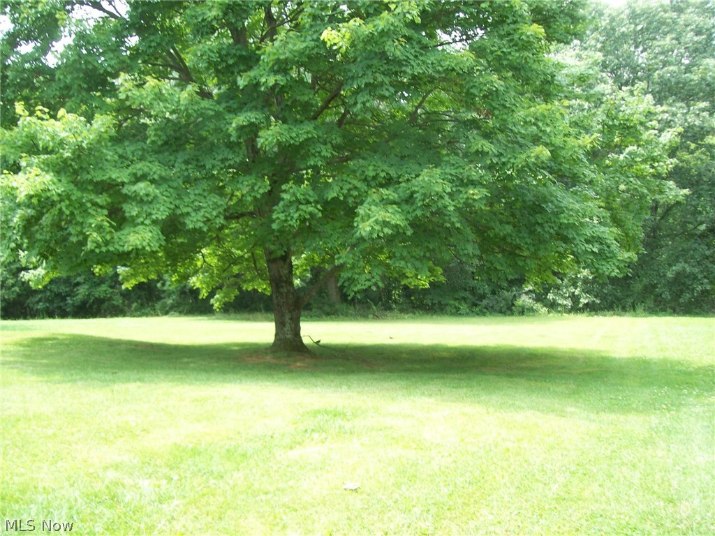 Beech Meadows - Residential