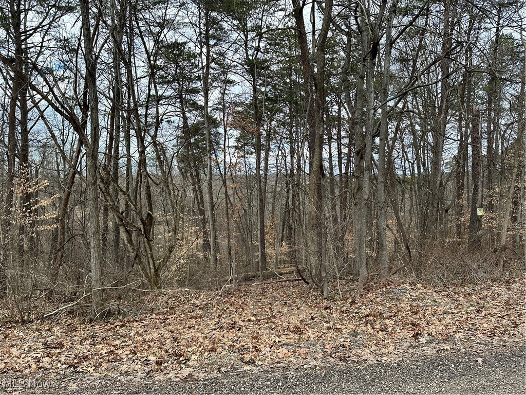 Fisher Ridge Rd, Tract 7, Fleming, Ohio image 4