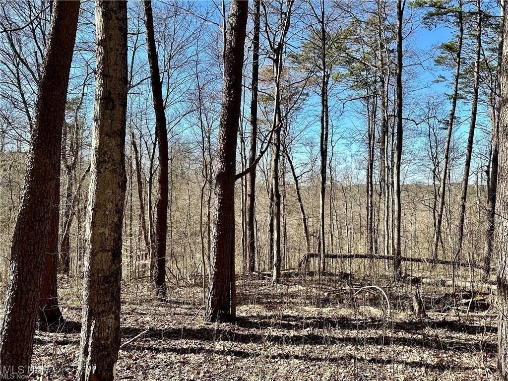 Fisher Ridge Rd, Tract 7, Fleming, Ohio image 3