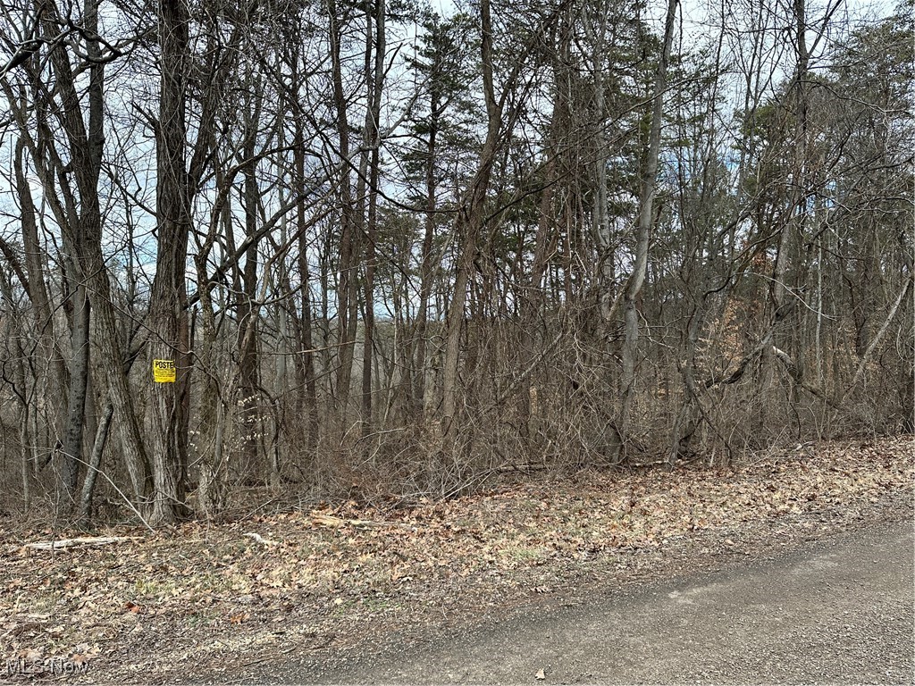 Fisher Ridge Rd, Tract 7, Fleming, Ohio image 1