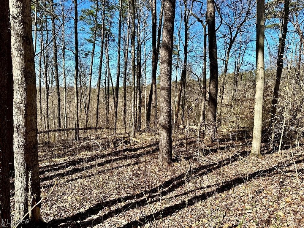 Fisher Ridge Rd, Tract 7, Fleming, Ohio image 2