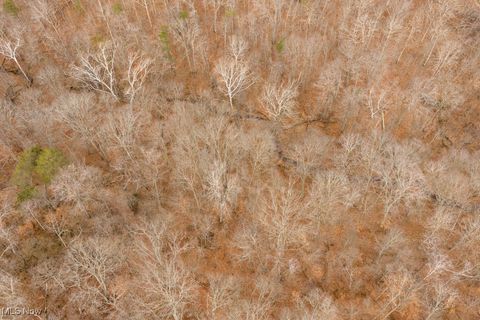 Tiny photo for 29500 Houston Road, Little Hocking, OH 45742 (MLS # 5179627)